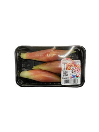 Myoga (3pieces)